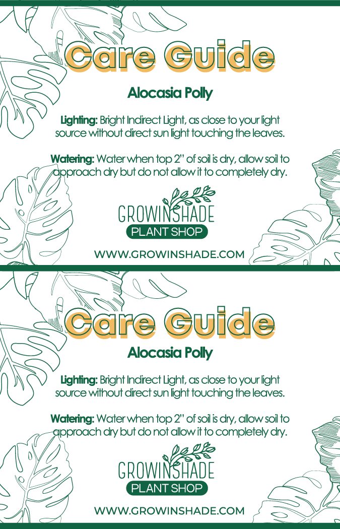 Care card