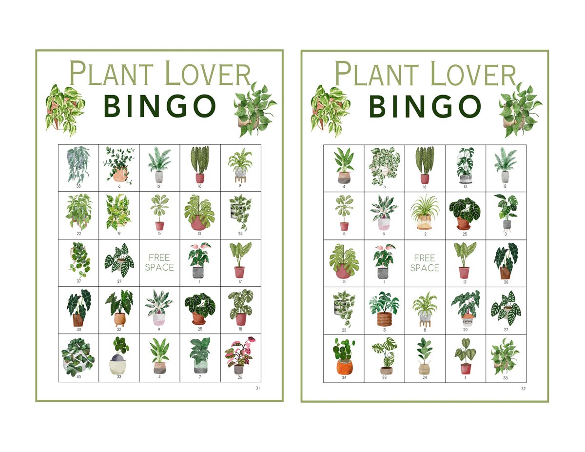 Plant Lover Bingo card