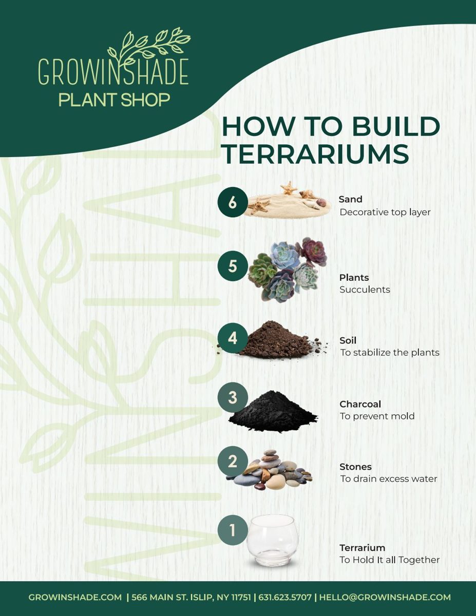 How to build terrariums guide